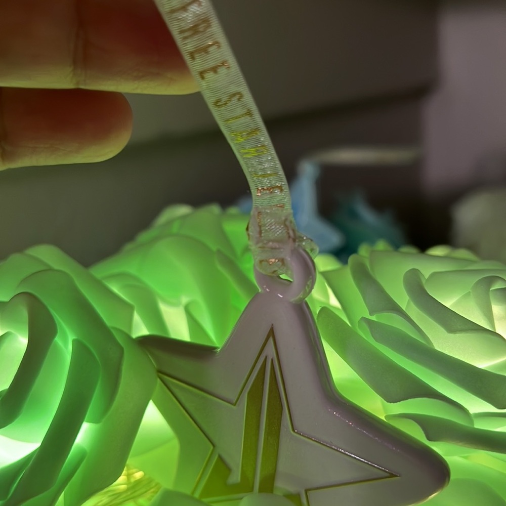 Light Up Rose Arrangement-JEFFREEStar Alien Inspired-real tissue paper-ornament - Picture 3 of 7
